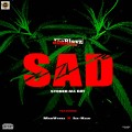 SAD - xuple